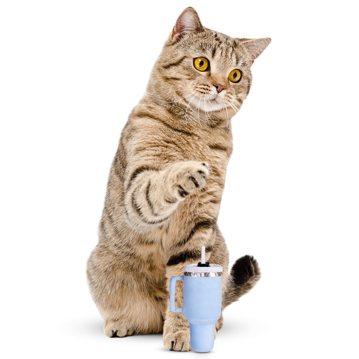 Kitty Cup Catnip Crinkle Cat Toy