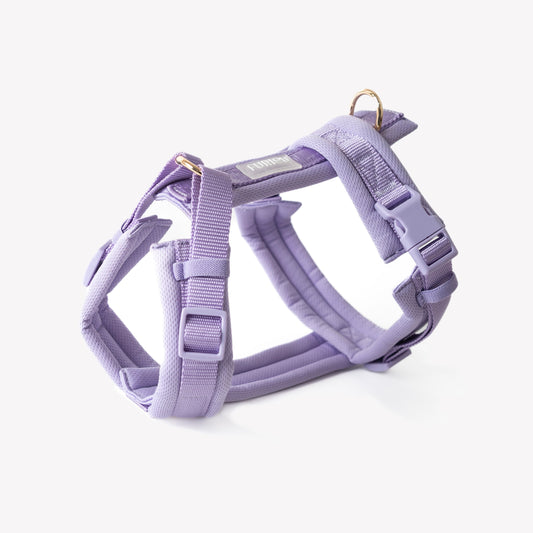 Padded Comfort Dog Harness – Lavender