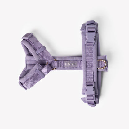 Padded Comfort Dog Harness – Lavender