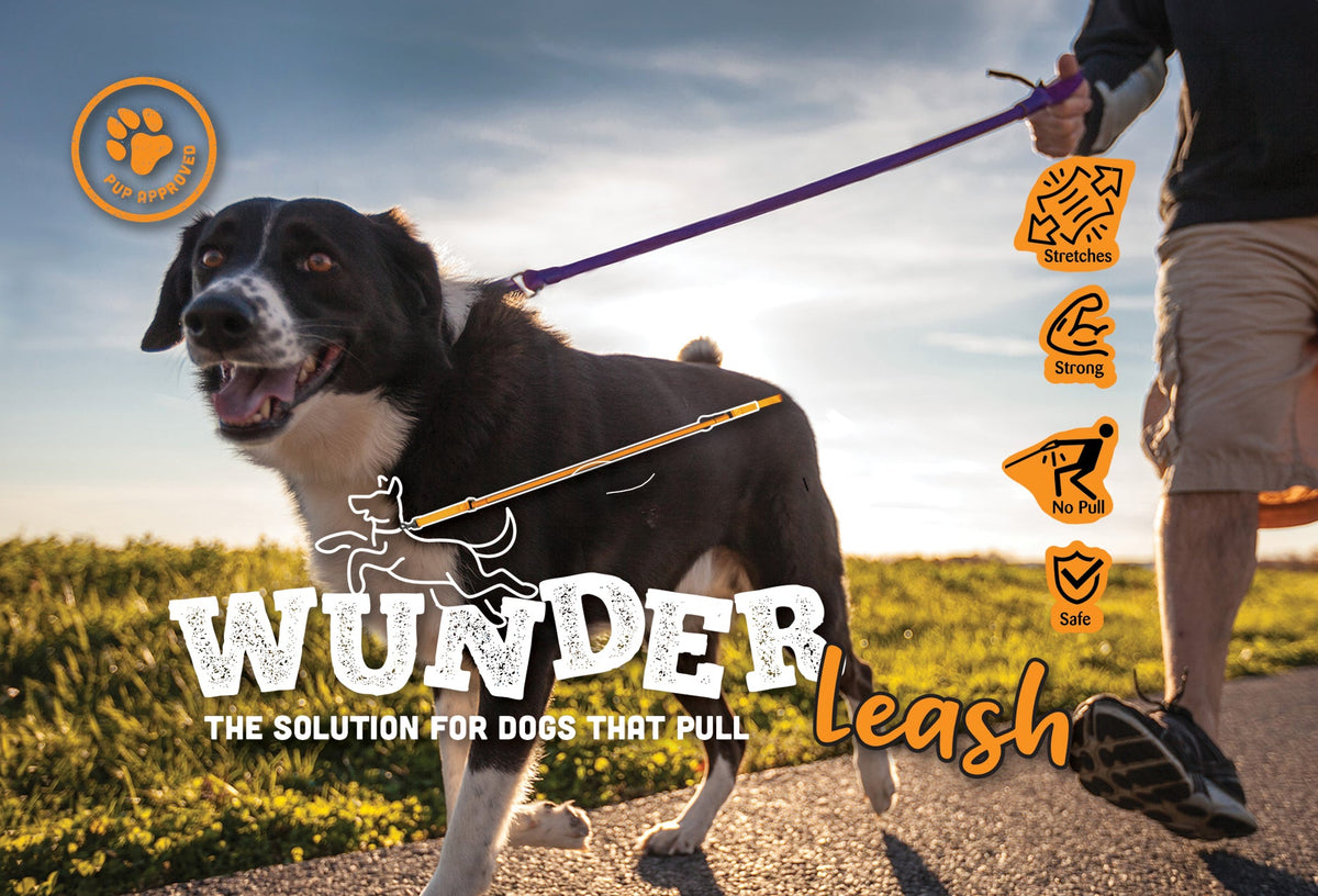 WUNDERleash No-Pull Stretch Dog Leash