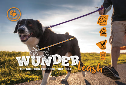 WUNDERleash No-Pull Stretch Dog Leash