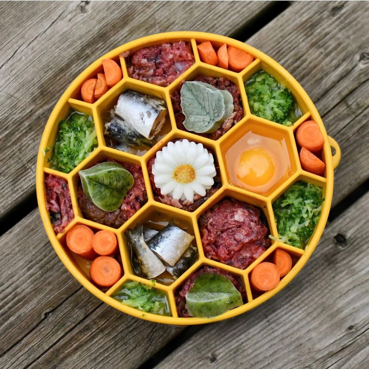 Honeycomb Slow Feeder Dog Bowl – USA Made
