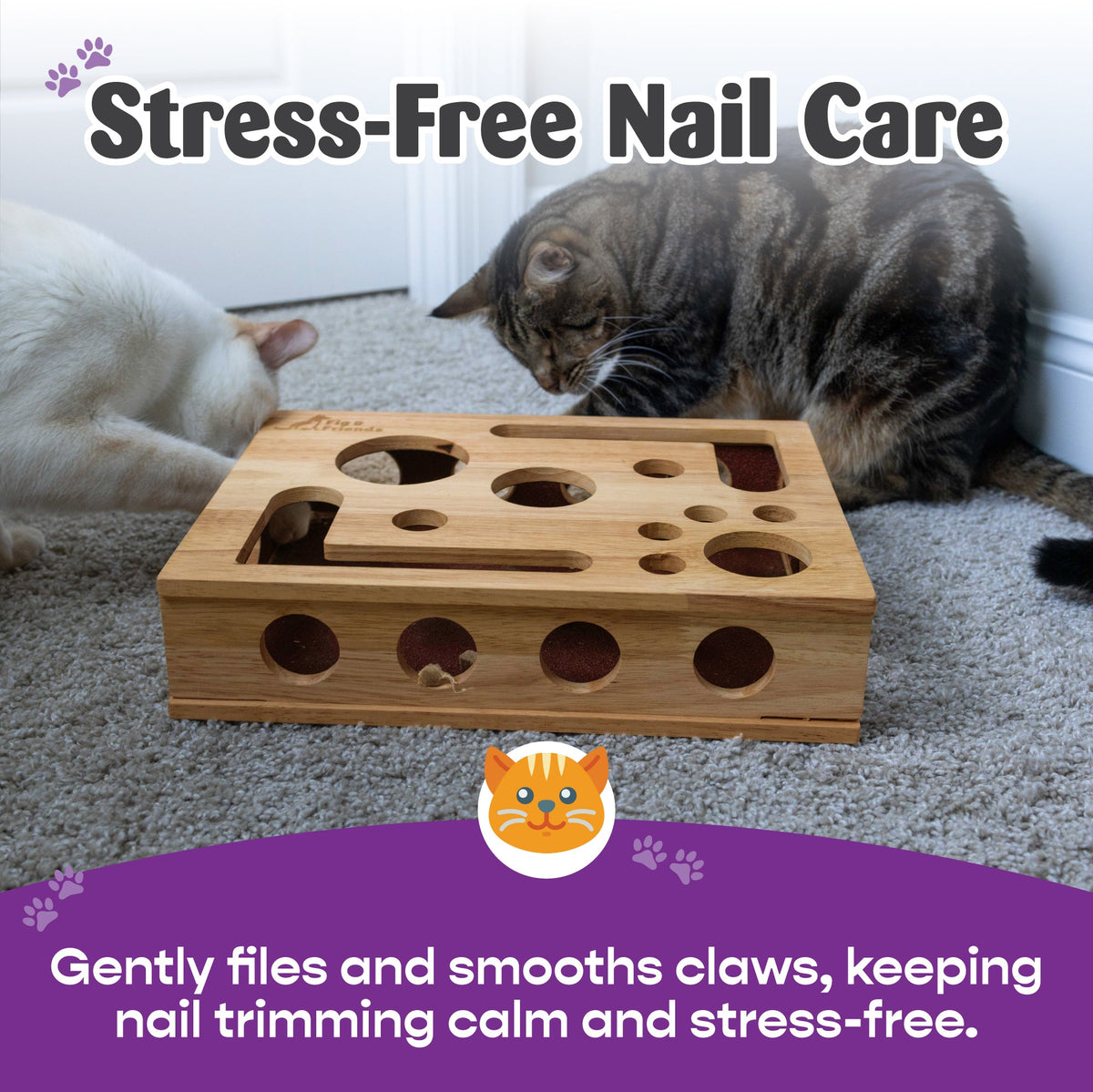Cat Nail File Scratch Enrichment Box