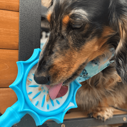 Lick Sticks – Interactive Dog Enrichment Toy