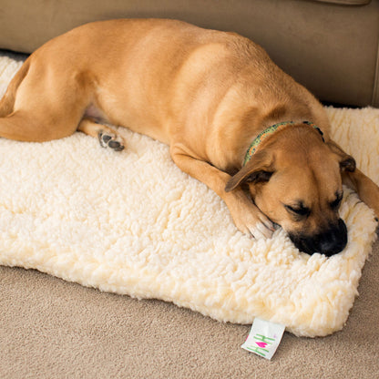 HuggleFleece Cozy Mat Bed for Dogs & Cats
