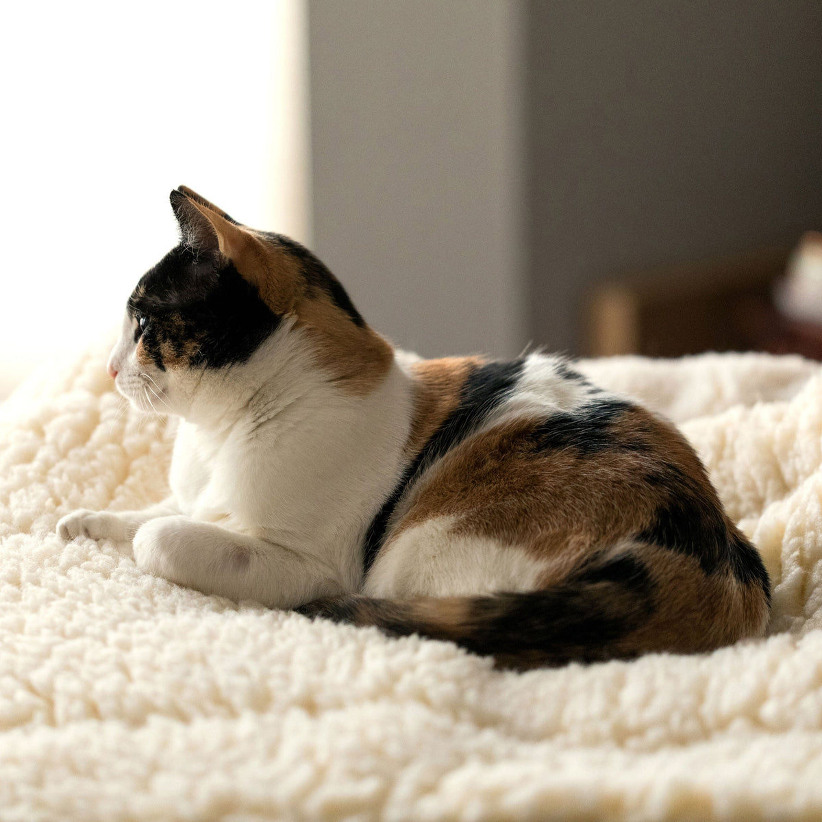 HuggleFleece Cozy Mat Bed for Dogs & Cats
