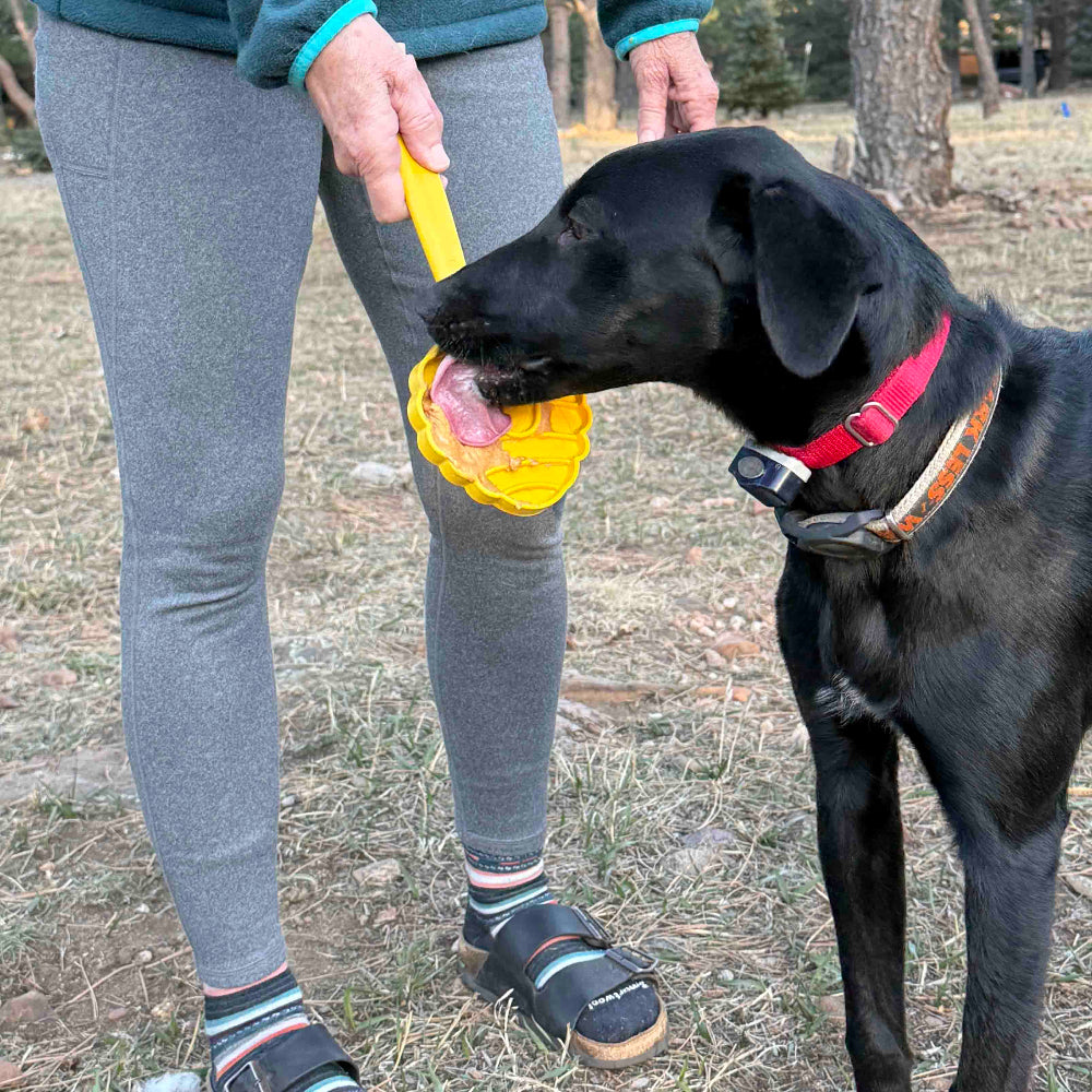 eStick Hand-Held Lick Stick for Dogs – USA Made