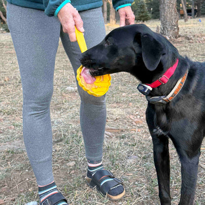 eStick Hand-Held Lick Stick for Dogs – USA Made