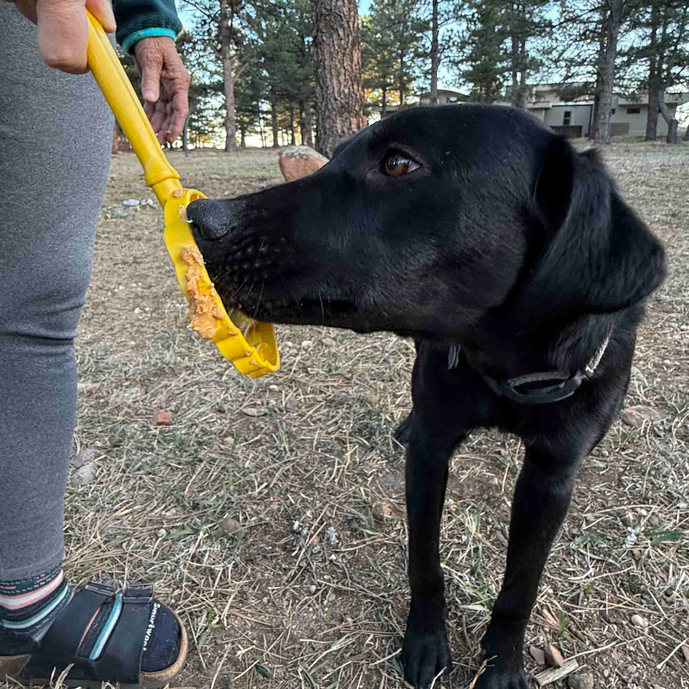 eStick Hand-Held Lick Stick for Dogs – USA Made