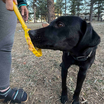 eStick Hand-Held Lick Stick for Dogs – USA Made