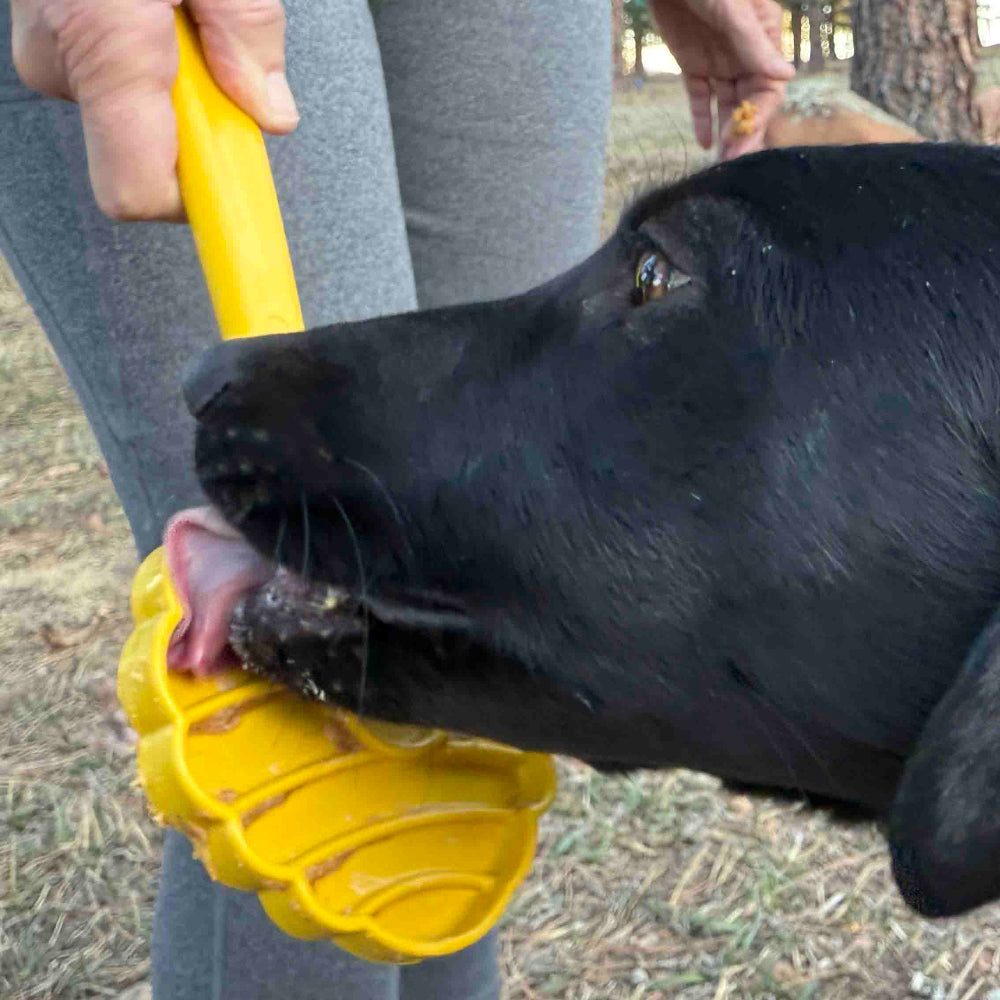 eStick Hand-Held Lick Stick for Dogs – USA Made