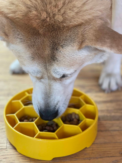 Honeycomb Slow Feeder Dog Bowl – USA Made