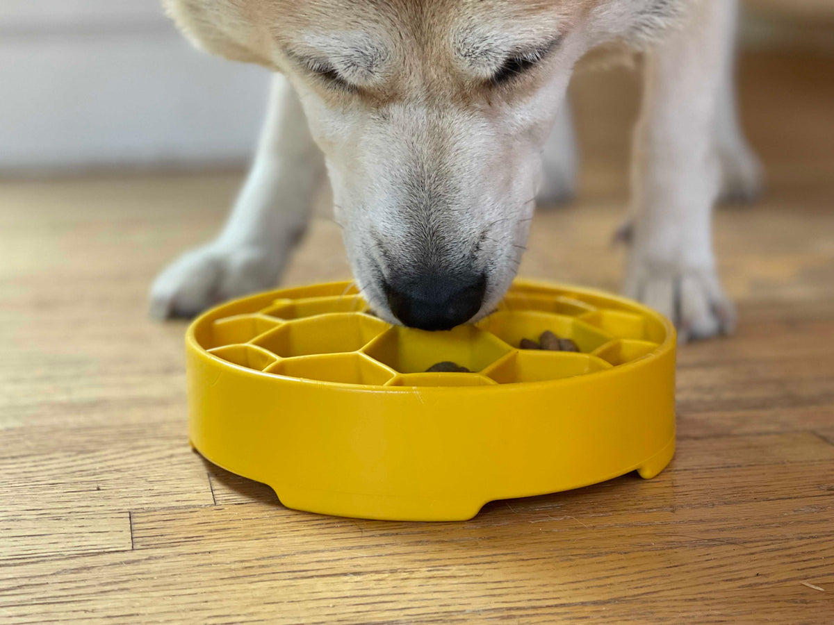 Honeycomb Slow Feeder Dog Bowl – USA Made