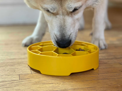 Honeycomb Slow Feeder Dog Bowl – USA Made