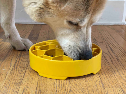 Honeycomb Slow Feeder Dog Bowl – USA Made