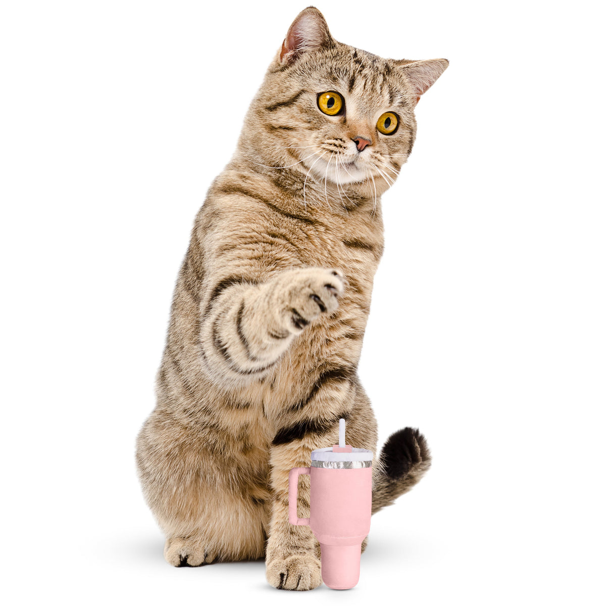 Kitty Cup Catnip Crinkle Cat Toy