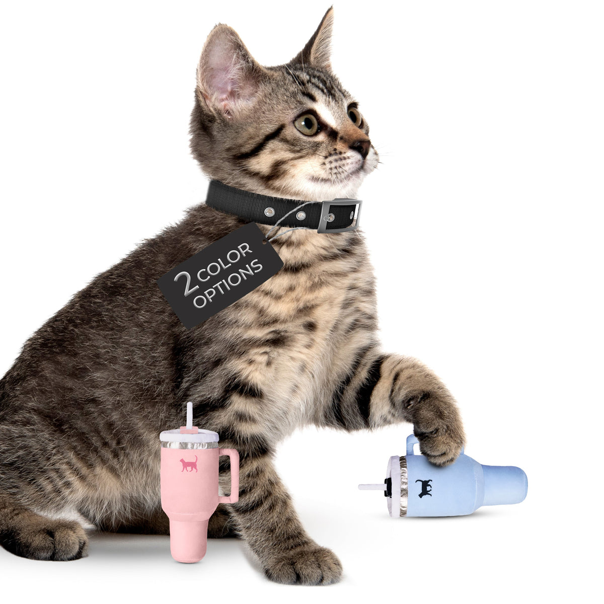 Kitty Cup Catnip Crinkle Cat Toy