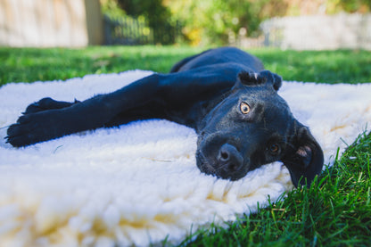 HuggleFleece Cozy Mat Bed for Dogs & Cats