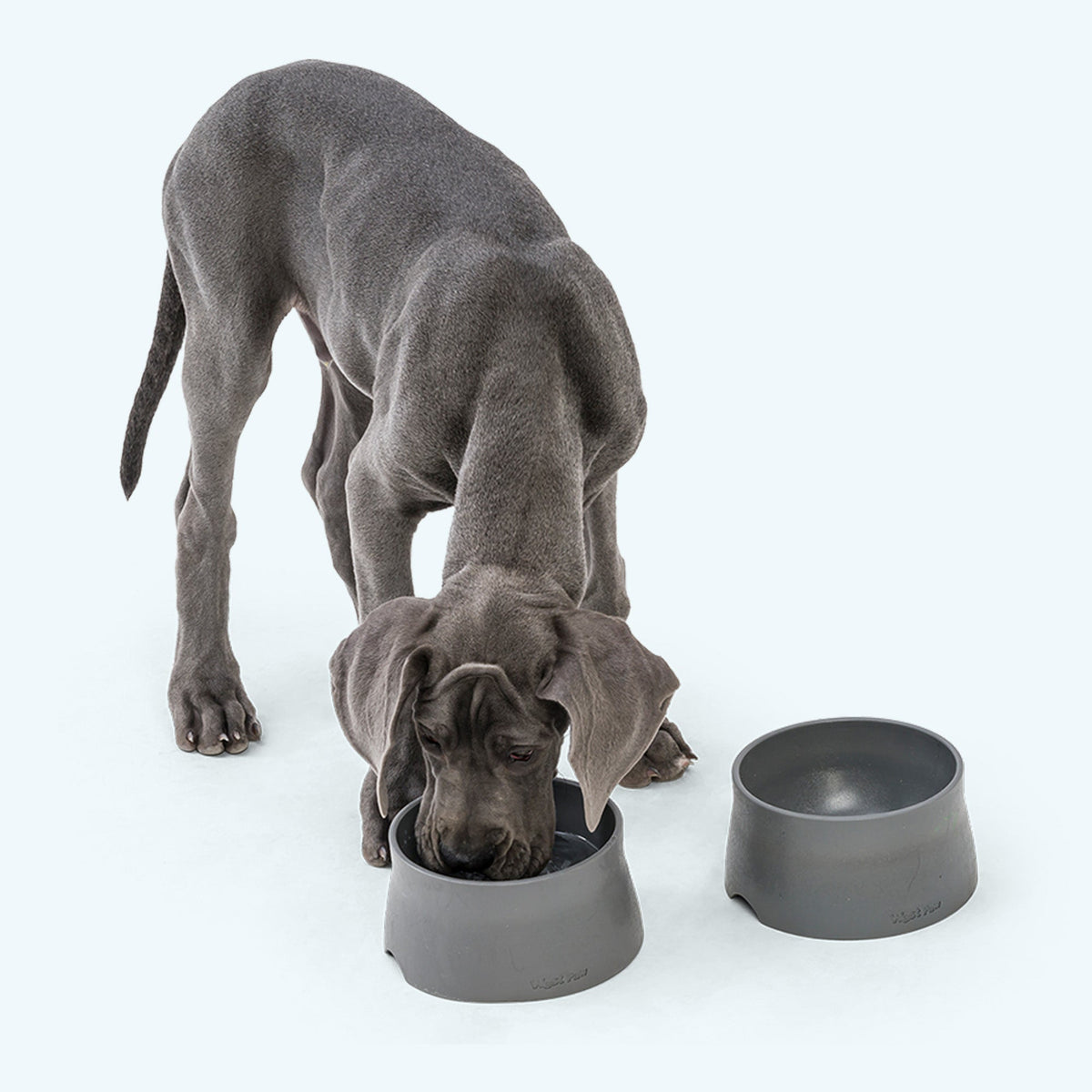 West Paw Non-Slip Quiet Dog Bowl