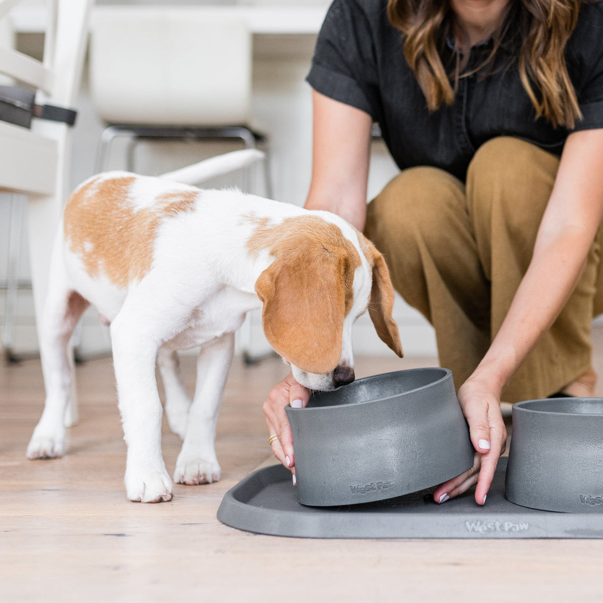West Paw Non-Slip Quiet Dog Bowl