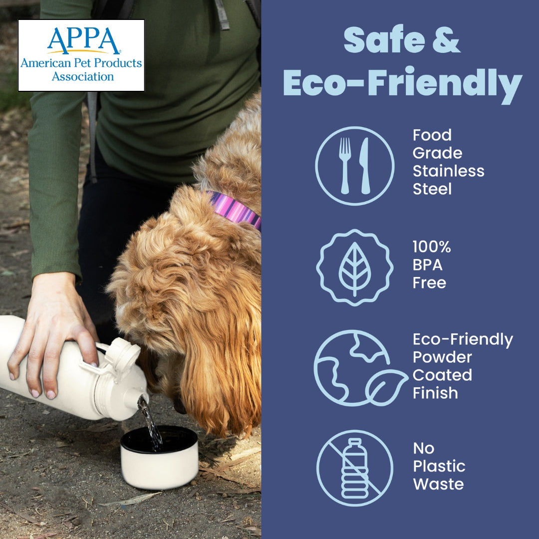 Dog + Human Travel Water Bottle with Bowl