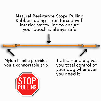 WUNDERleash No-Pull Stretch Dog Leash