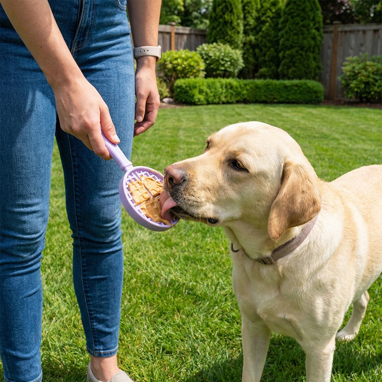 eStick Hand-Held Lick Stick for Dogs – USA Made