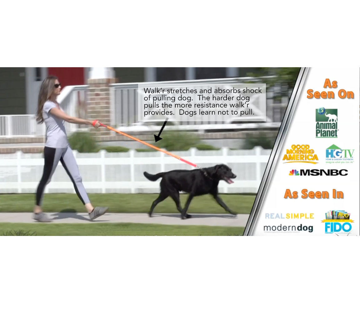 WUNDERleash No-Pull Stretch Dog Leash