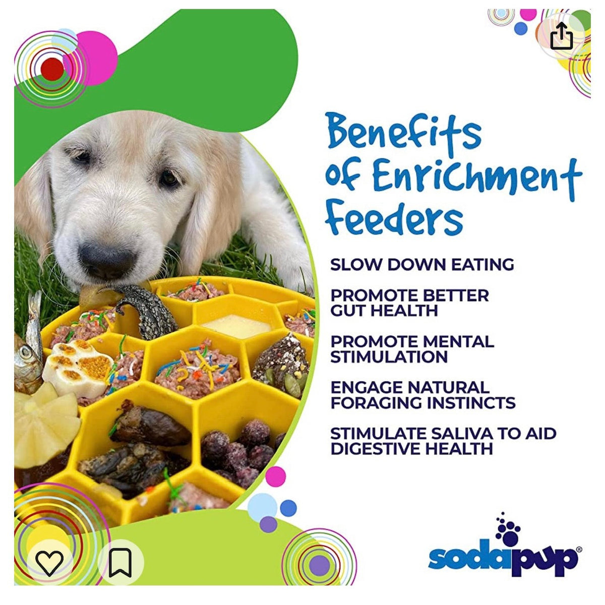 Honeycomb Slow Feeder Dog Bowl – USA Made